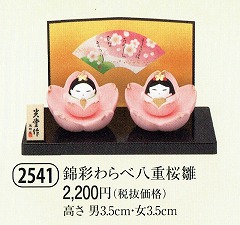 yaku_2541錦彩わらべ八重桜雛